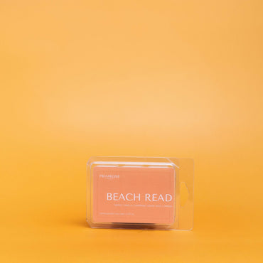 BEACH READ WAX MELT
